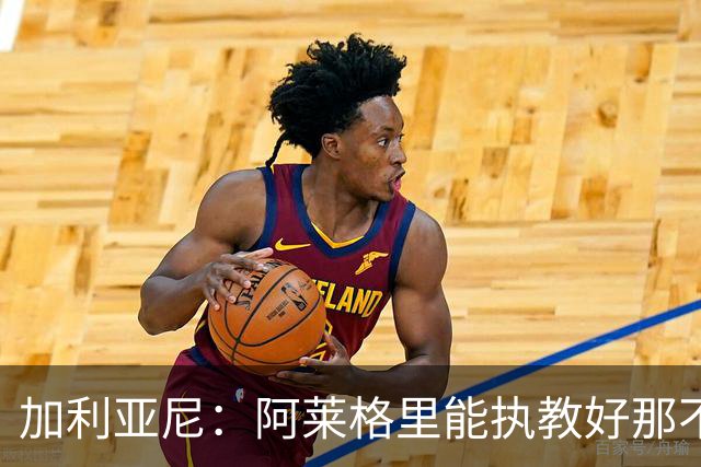 加利亚尼：阿莱格里能执教好那不勒斯，他会根据队内球员制定战术